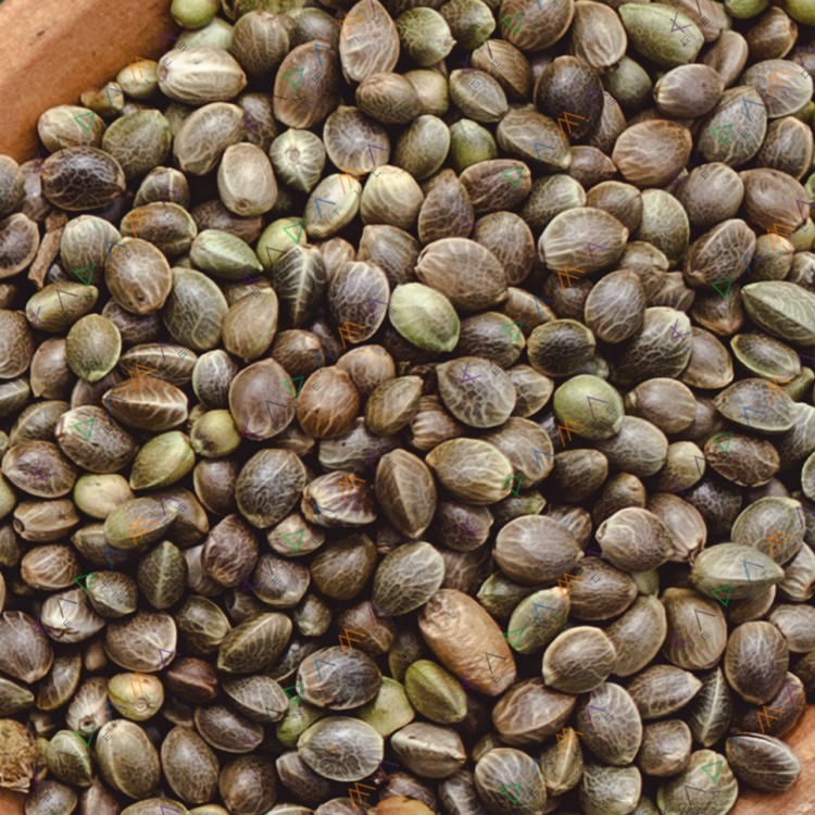 Auto Pineapple Chunk