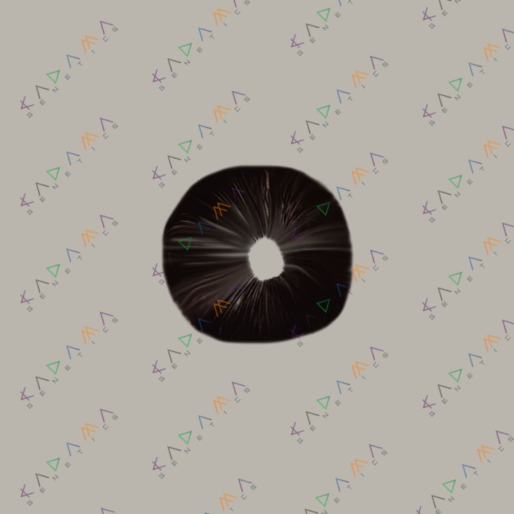 Cubensis Golden Teacher